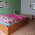 Am Vechtesee Apartment *