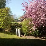 Daire Am Vechtesee